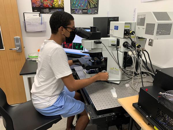 Student looking into microscope